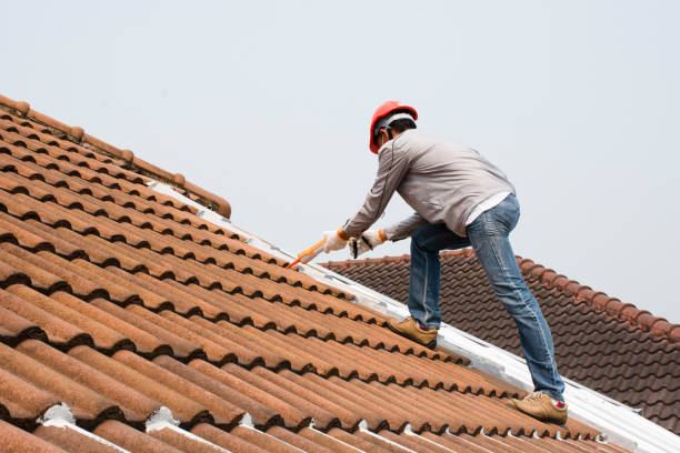 Best Metal Roofing Installation  in Gary, IN