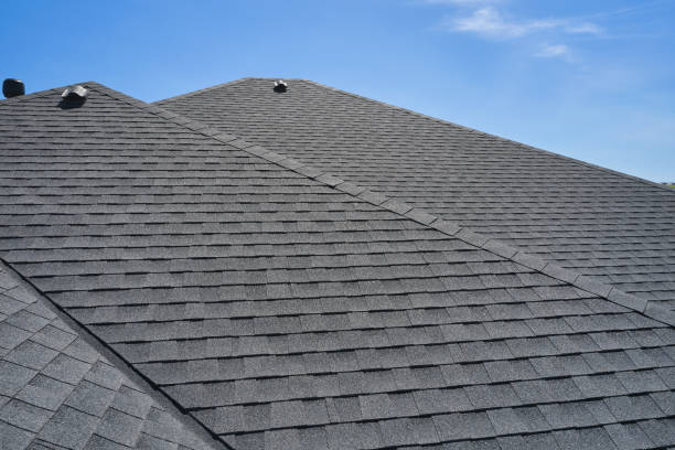 Best Roof Coating and Sealing  in Gary, IN